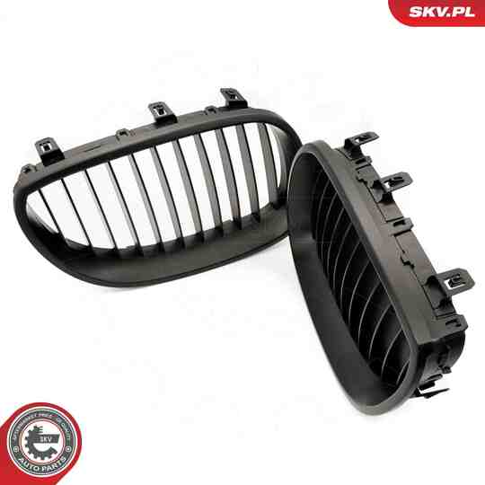 66SKV167 - Radiator Grille 