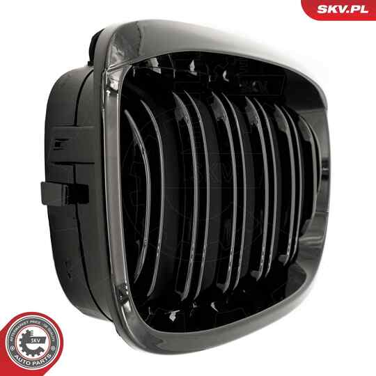 66SKV073 - Radiator Grille 