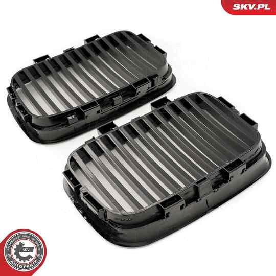 66SKV043 - Radiator Grille 