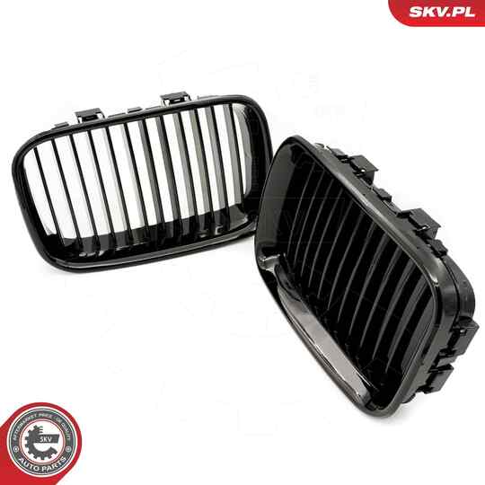 66SKV043 - Radiator Grille 