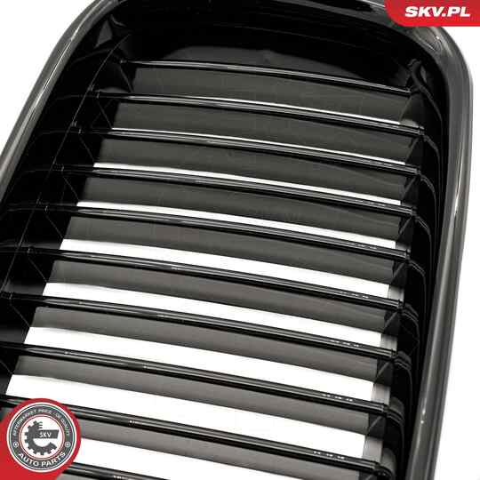 66SKV043 - Radiator Grille 