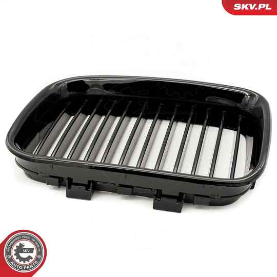 66SKV043 - Radiator Grille 