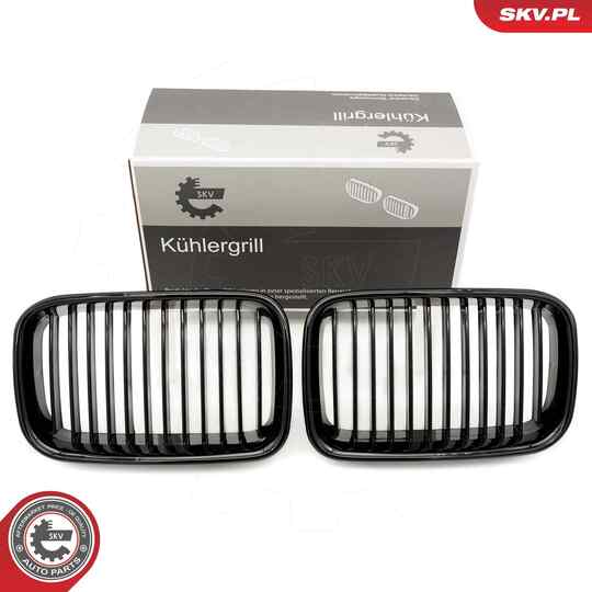 66SKV043 - Radiator Grille 