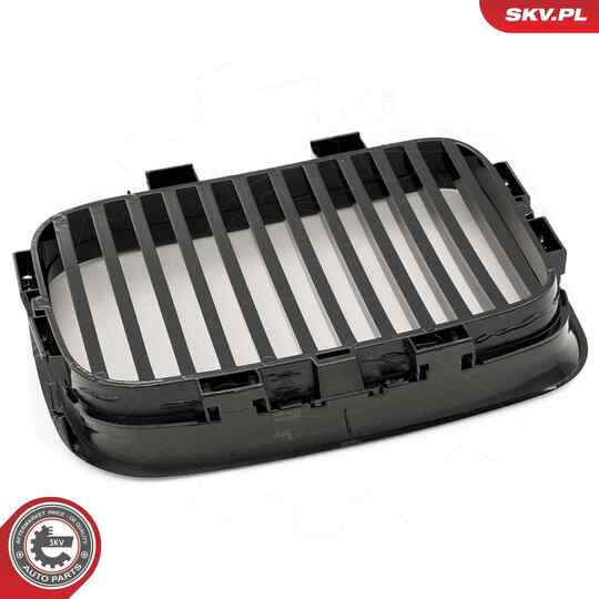 66SKV043 - Radiator Grille 