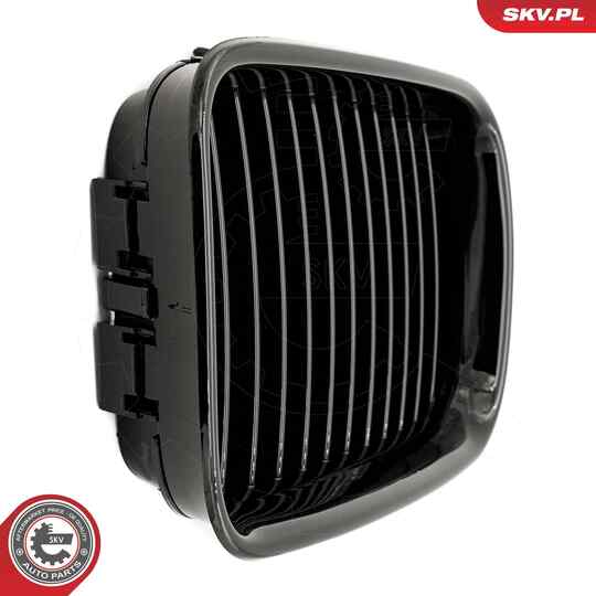 66SKV043 - Radiator Grille 