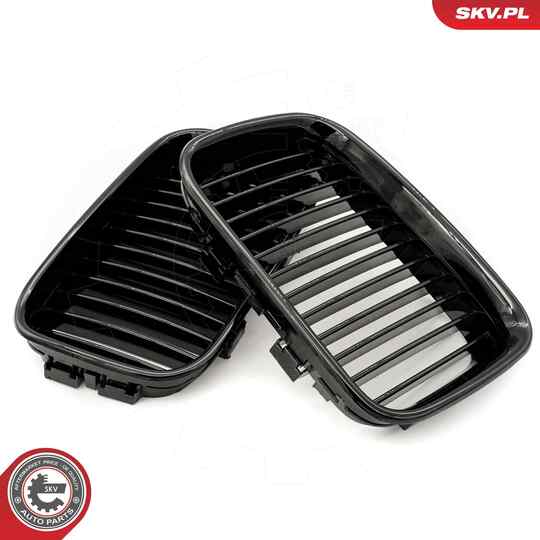 66SKV043 - Radiator Grille 