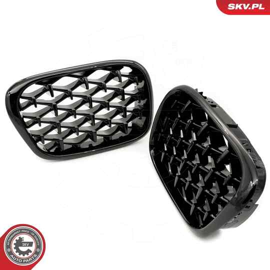 66SKV164 - Radiator Grille 