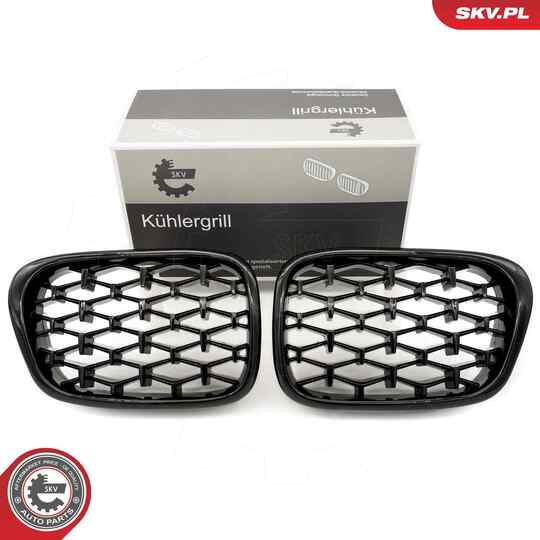 66SKV164 - Radiator Grille 