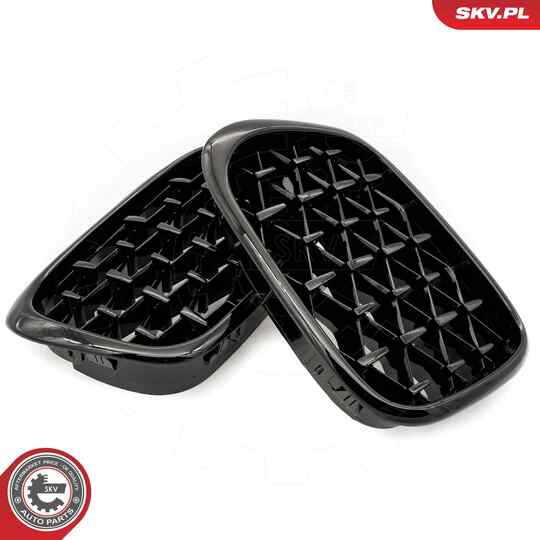 66SKV164 - Radiator Grille 