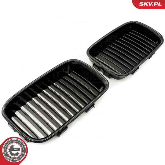 66SKV043 - Radiator Grille 