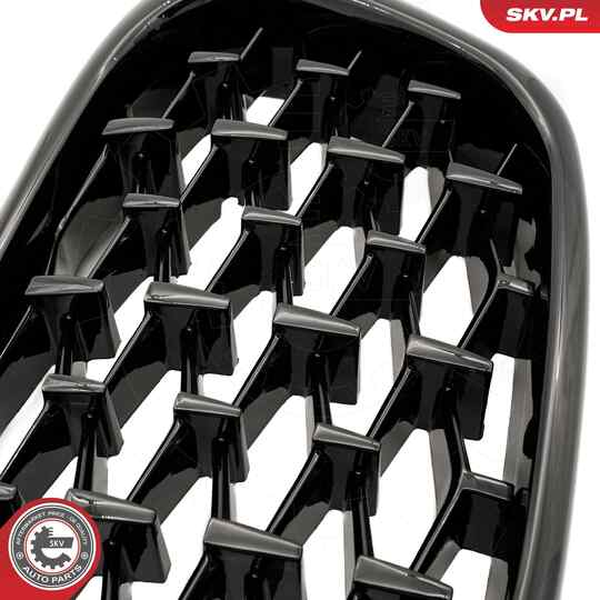 66SKV164 - Radiator Grille 