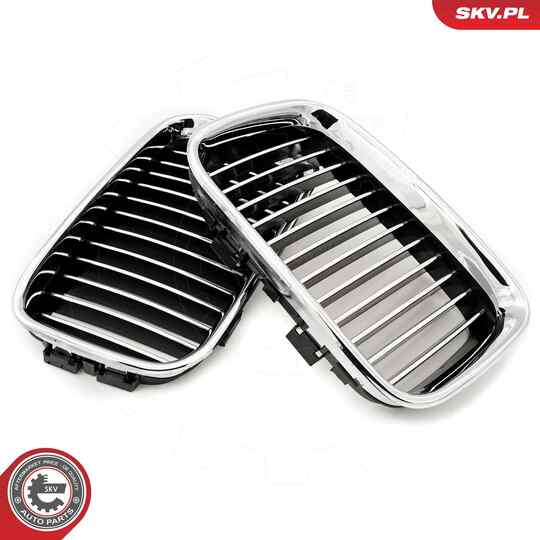 66SKV044 - Radiator Grille 