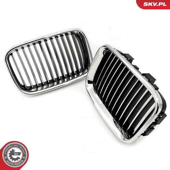 66SKV044 - Radiator Grille 