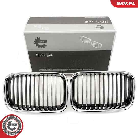 66SKV044 - Radiator Grille 