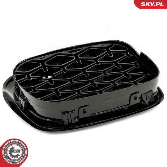 66SKV164 - Radiator Grille 