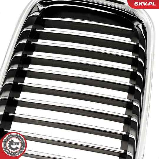 66SKV044 - Radiator Grille 