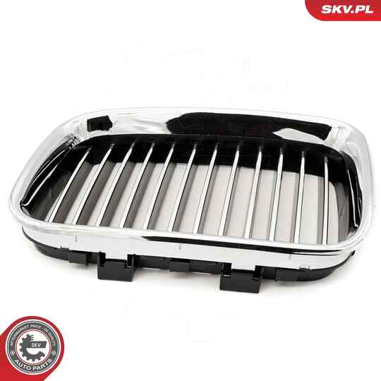 66SKV044 - Radiator Grille 