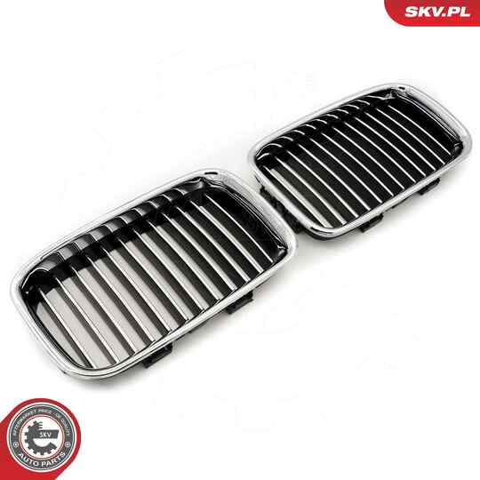 66SKV044 - Radiator Grille 