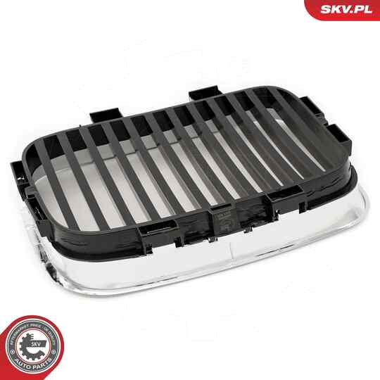 66SKV044 - Radiator Grille 