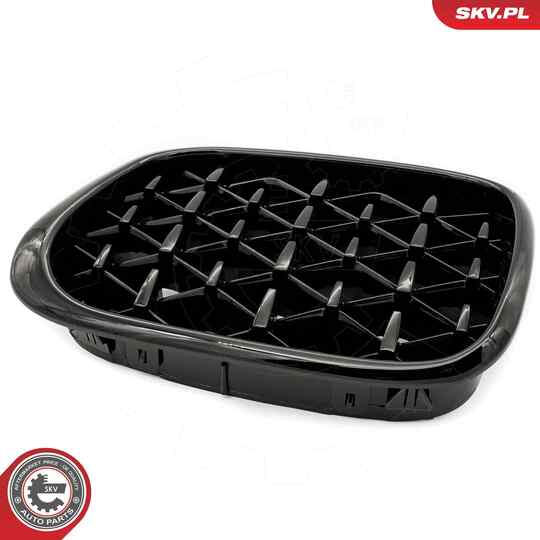 66SKV164 - Radiator Grille 