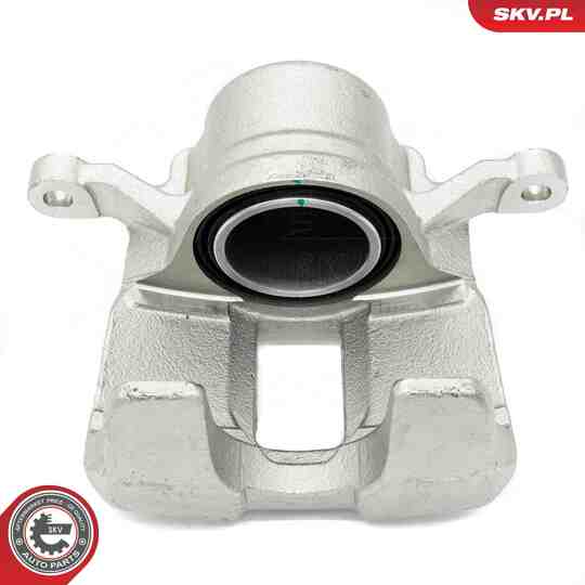 56SKV521 - Brake Caliper 