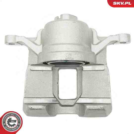 56SKV521 - Brake Caliper 