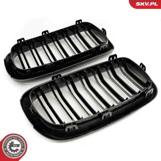 66SKV299 - Radiator Grille 