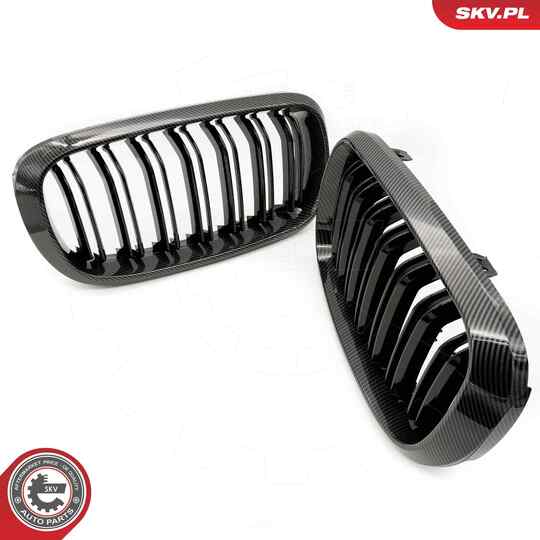 66SKV299 - Radiator Grille 