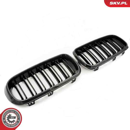 66SKV299 - Radiator Grille 