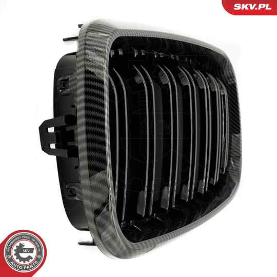 66SKV299 - Radiator Grille 