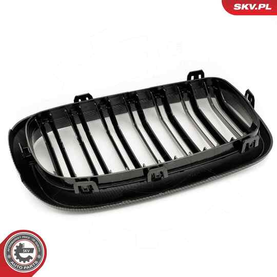 66SKV299 - Radiator Grille 