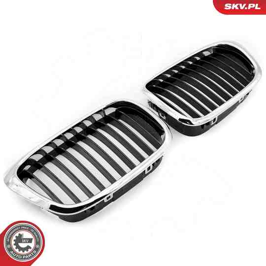 66SKV160 - Radiator Grille 