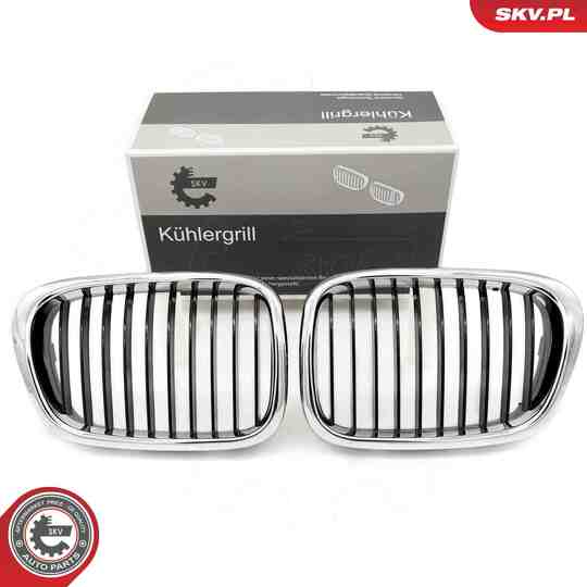 66SKV160 - Radiator Grille 