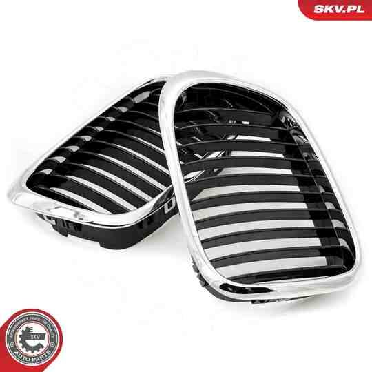 66SKV160 - Radiator Grille 