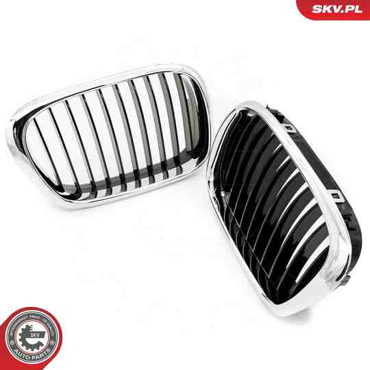 66SKV160 - Radiator Grille 