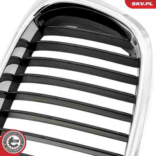 66SKV160 - Radiator Grille 