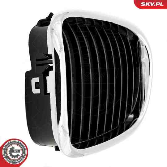 66SKV160 - Radiator Grille 