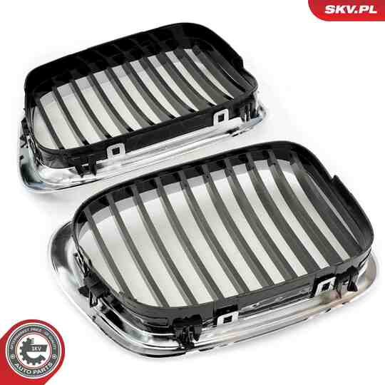 66SKV160 - Radiator Grille 