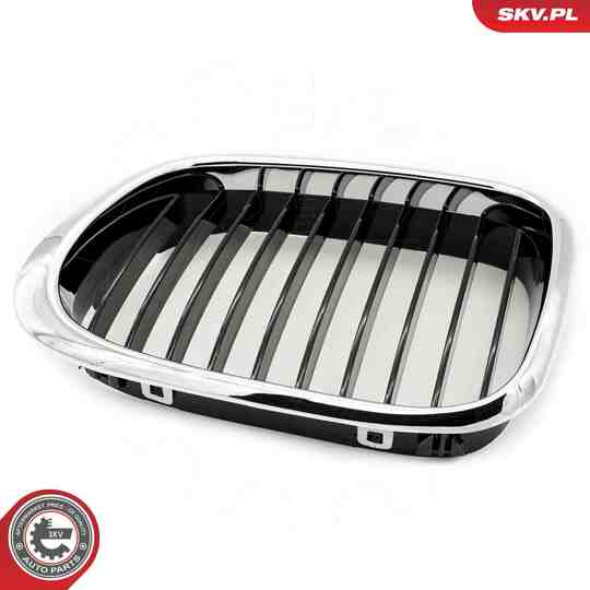 66SKV160 - Radiator Grille 