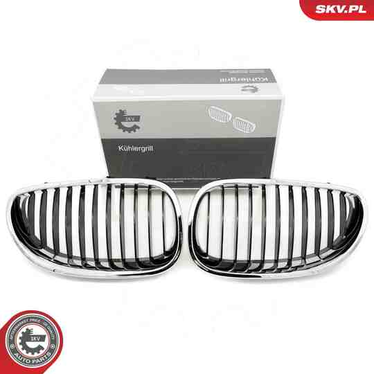 66SKV169 - Radiator Grille 