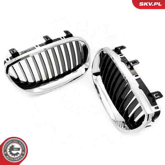 66SKV169 - Radiator Grille 