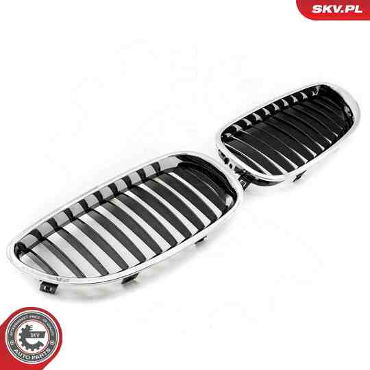 66SKV169 - Radiator Grille 