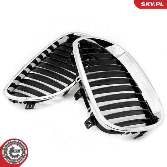 66SKV169 - Radiator Grille 