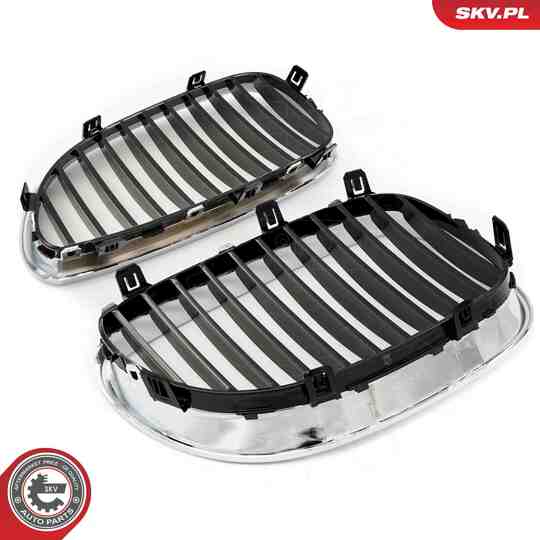 66SKV169 - Radiator Grille 