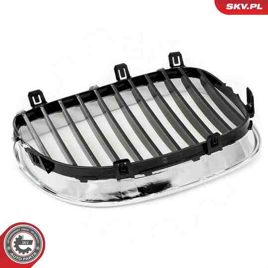 66SKV169 - Radiator Grille 