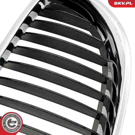 66SKV169 - Radiator Grille 