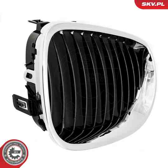 66SKV169 - Radiator Grille 