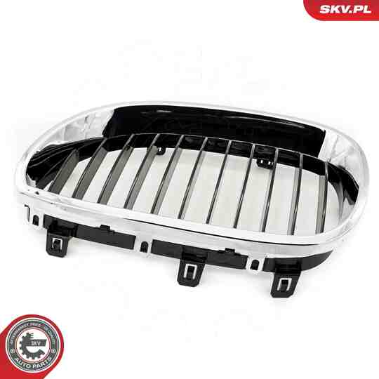 66SKV169 - Radiator Grille 