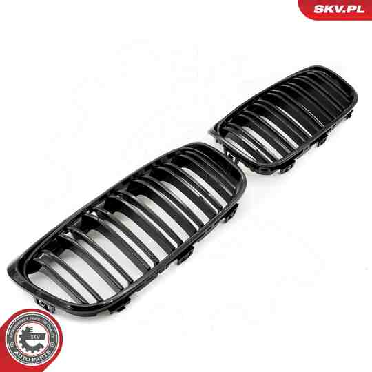 66SKV040 - Radiator Grille 