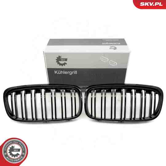 66SKV040 - Radiator Grille 